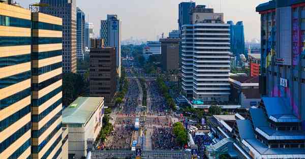 属猪2024年11月26日运势,属猪人2024年11月26日财运,生肖猪2024年11月26日运势